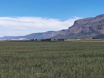 Farm For Sale in Piketberg - img