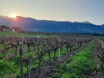 Farm For Sale in Paarl - diAT.webp
