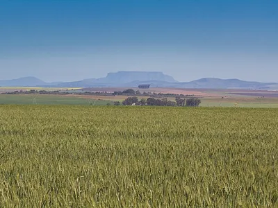 Farm For Sale in Paarl - c5PQ.webp