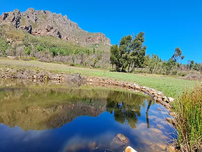 Farm For Sale in Paarl - qqaF.webp