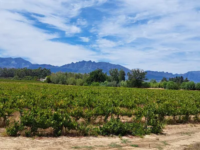 Farm For Sale in Wellington - ABOS.webp