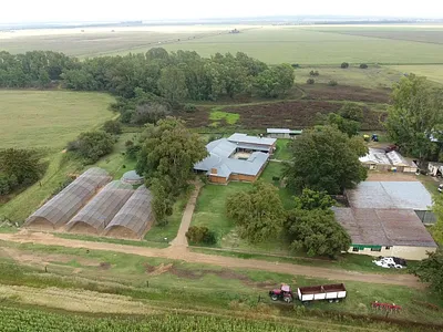 Farm For Sale in Ventersburg - 8fMD.webp