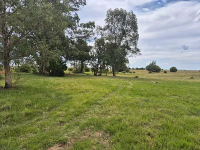 Farm For Sale in Bloemfontein - l8tR.webp