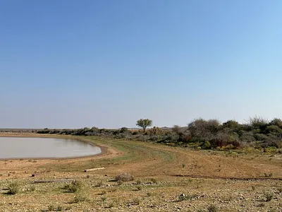 Farm For Sale in Carnarvon - wgMx.webp