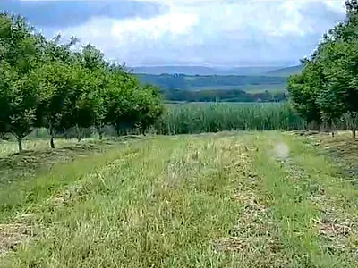 Farm For Sale in Empangeni - WVOQ.webp