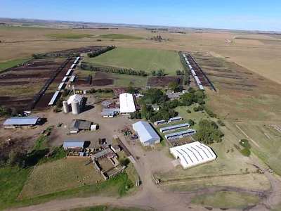 Farm For Sale in Heilbron - J7xO.webp
