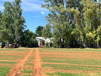 Farm For Sale in Bloemfontein - foqM.webp