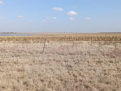 Farm For Sale in Heilbron - 44ZJ.webp