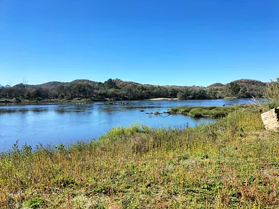 Farm For Sale in Vredefort - n8Of.webp