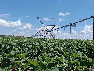 Farm For Sale in Bloemfontein - cUGh.webp