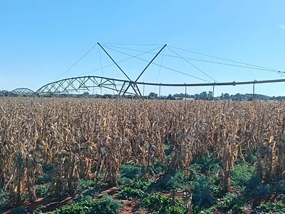Farm For Sale in Petrusburg - YK2b.webp