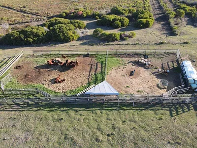 Farm For Sale in Heidelberg - img