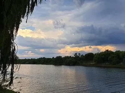 4 Bedroom House For Sale in Leeudoringstad - 1u4S.webp