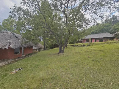 House For Sale in Ladybrand - 4uq5.webp