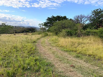 Vacant Land For Sale in Mandeni - 0EOd.webp