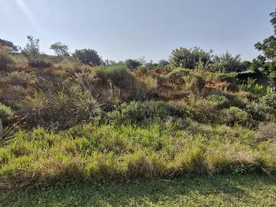 Vacant Land For Sale in Ballito - img