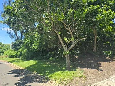 Vacant Land For Sale in Ballito - pFZn.webp
