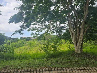 Vacant Land For Sale in Ballito - jLti.webp