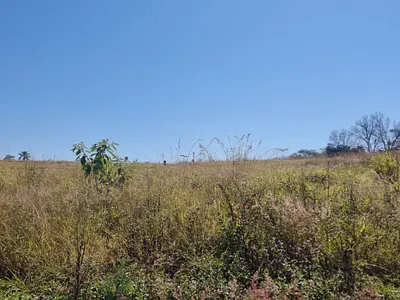 Vacant Land For Sale in Tzaneen - 2i0H.webp