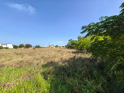 Vacant Land For Sale in Oranjeville - Z7lE.webp