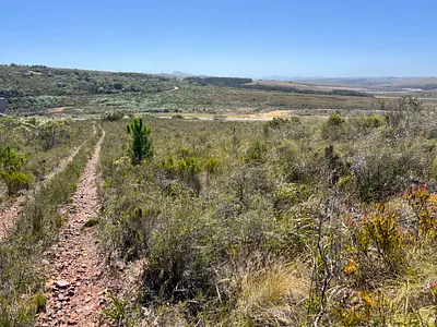 Farm For Sale in Humansdorp - y7g4.webp