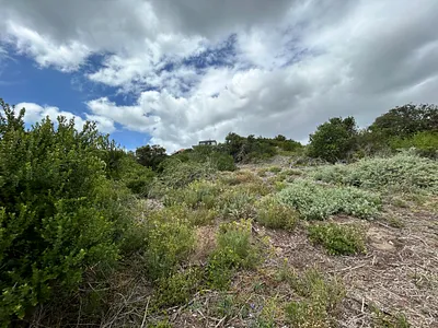 Vacant Land For Sale in Jeffreys Bay - MpMM.webp