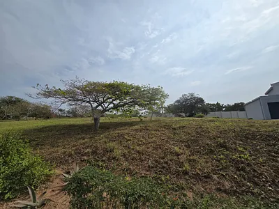 Vacant Land For Sale in Zinkwazi Beach - 6Zwp.webp