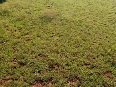 Vacant Land For Sale in Vanderbijlpark - QMV1.webp
