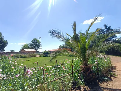 Farm For Sale in Vereeniging - UAJs.webp