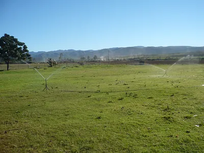 Farm For Sale in Uitenhage - 2DGn.webp