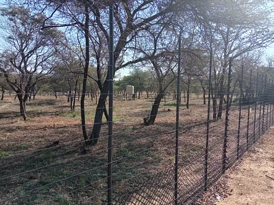 Farm For Sale in Bela Bela - img