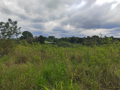 House For Sale in Tzaneen - Z4GD.webp