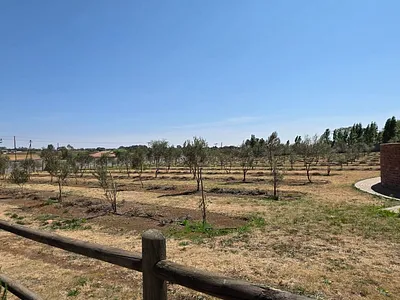 Farm For Sale in Vanderbijlpark - bmn4.webp