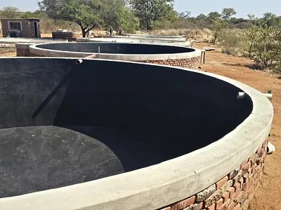 Farm For Sale in Musina - gHfl.webp