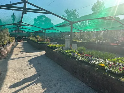 Farm For Sale in Brakpan - hvum.webp