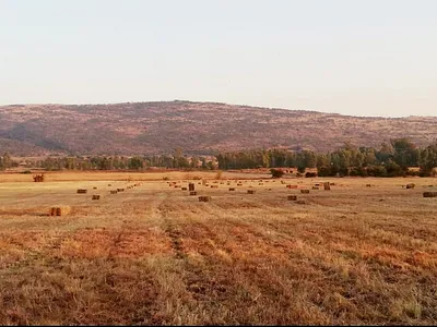 Farm For Sale in Pretoria - upGL.webp