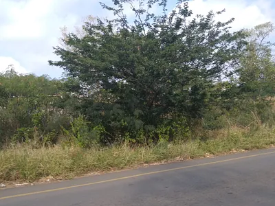 Vacant Land For Sale in Mandeni - uY9N.webp