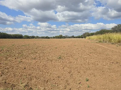 Farm For Sale in Musina - Mc8T.webp