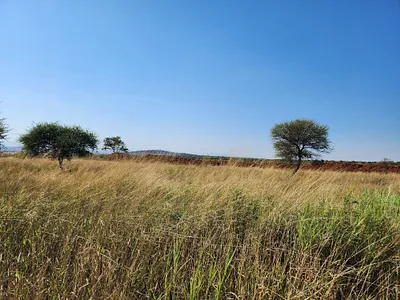 Vacant Land For Sale in Polokwane - 8Q2W.webp