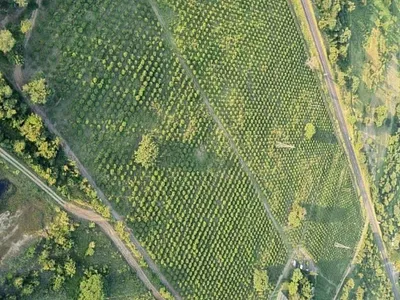 Farm For Sale in Tzaneen - AFyX.webp