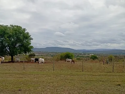 Farm For Sale in Tzaneen - hSYb.webp