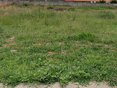 Vacant Land For Sale in Polokwane - NIbV.webp