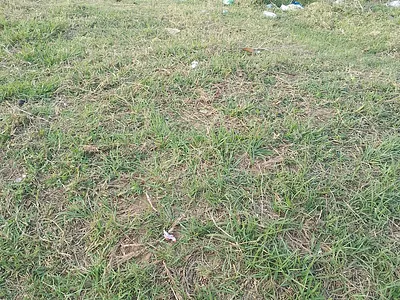 Vacant Land For Sale in Empangeni - CFxv.webp