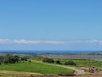 Farm For Sale in Ballito - 925u.webp