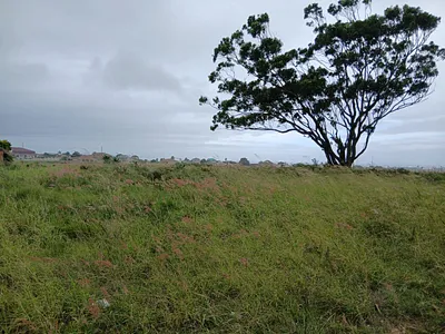 Vacant Land For Sale in Jeffreys Bay - H7vR.webp