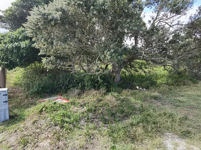 Vacant Land For Sale in Oyster Bay - 9fPh.webp