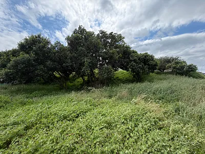 Vacant Land For Sale in Jeffreys Bay - Shrf.webp