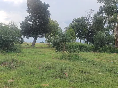 Vacant Land For Sale in Heidelberg - Gnwo.webp