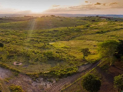 Vacant Land For Sale in Ballito - yNIg.webp