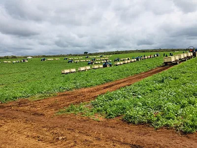 Farm For Sale in Tzaneen - UQut.webp